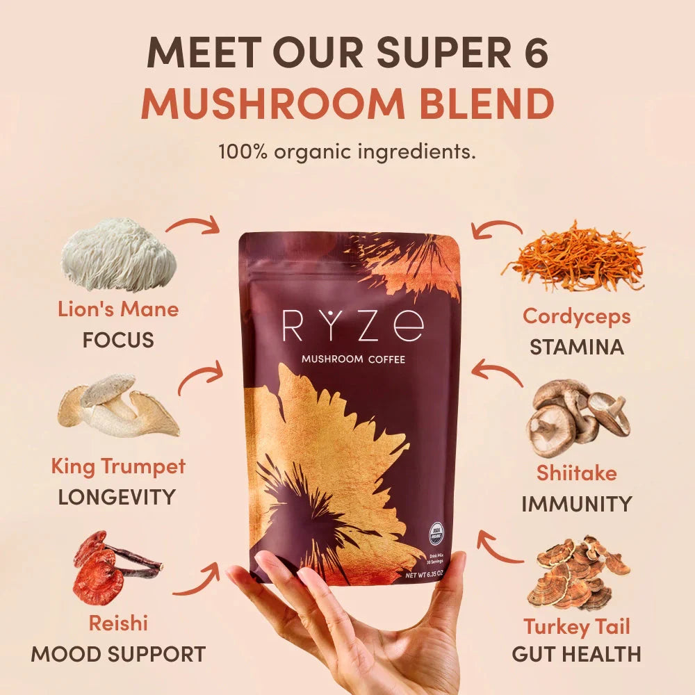 Mushroom Coffee Bold (30 Servings)