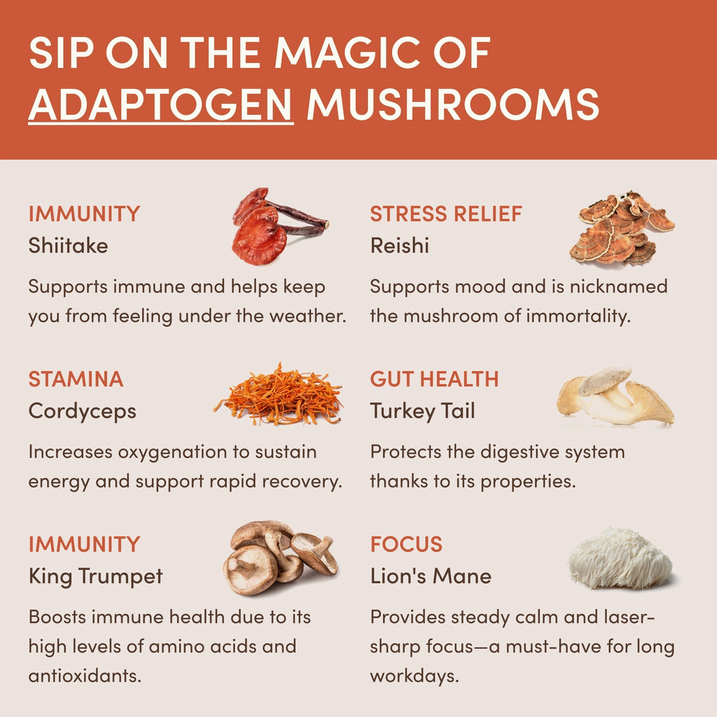 RYZE Ritual Set (Matcha + Coffee)