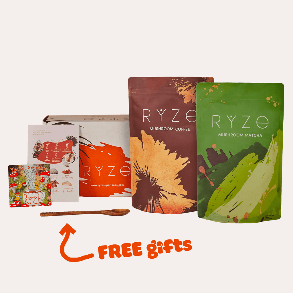 All Day Energy Bundle (Mushroom Coffee & Mushroom Matcha)