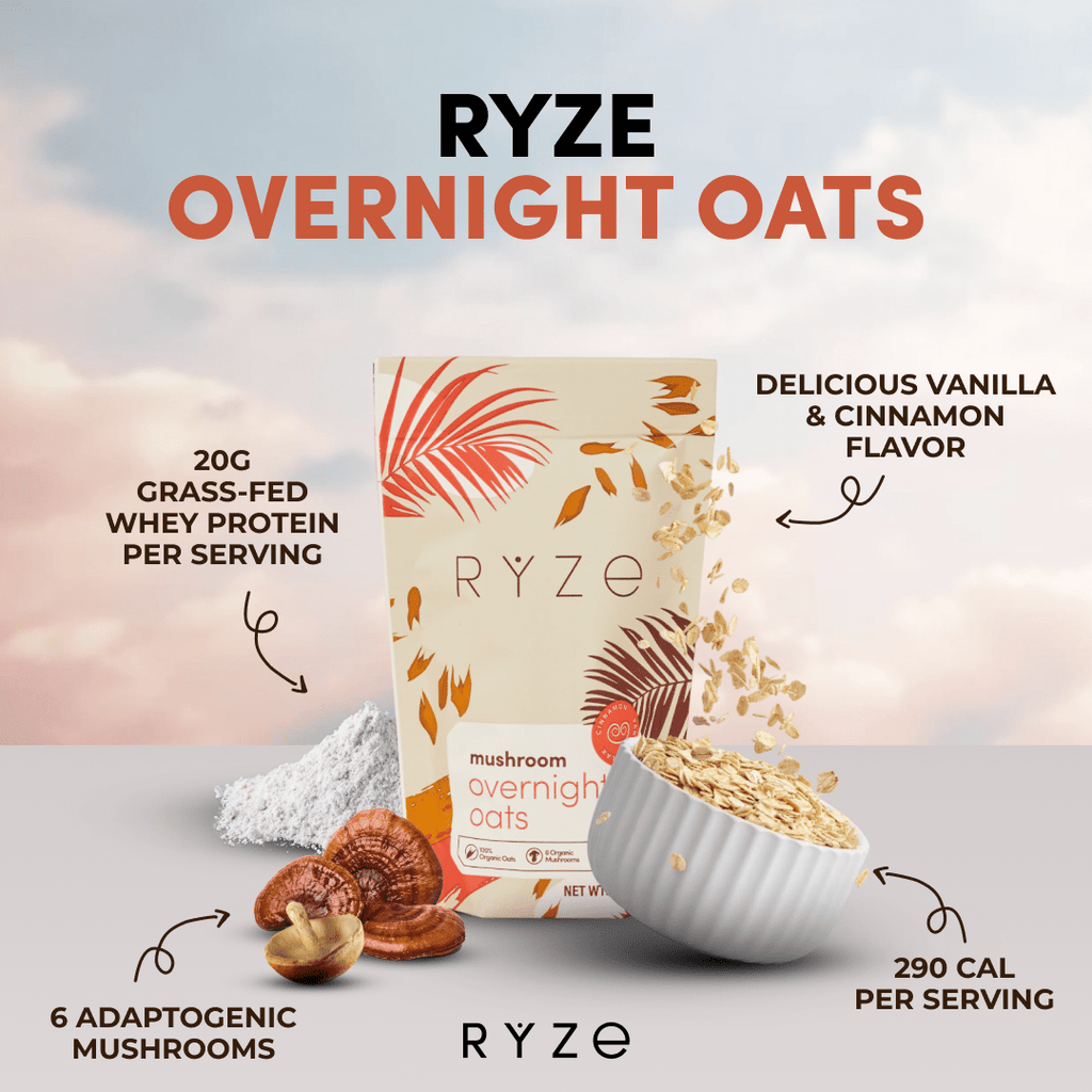 Mushroom Overnight Oats Pack (28 Servings)