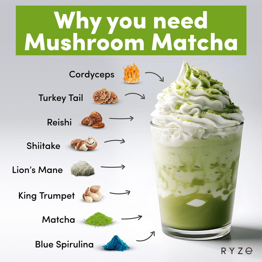 RYZE Organic Mushroom Matcha Starter Kit (60 servings)